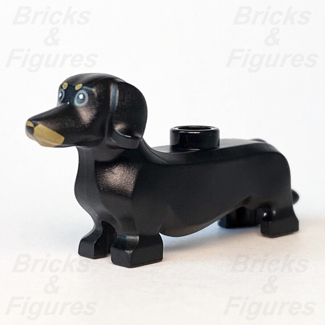 LEGO City Black Dachshund Sausage Dog Animal Build-A-Minifigure BAM 2020 Town - Bricks & Figures