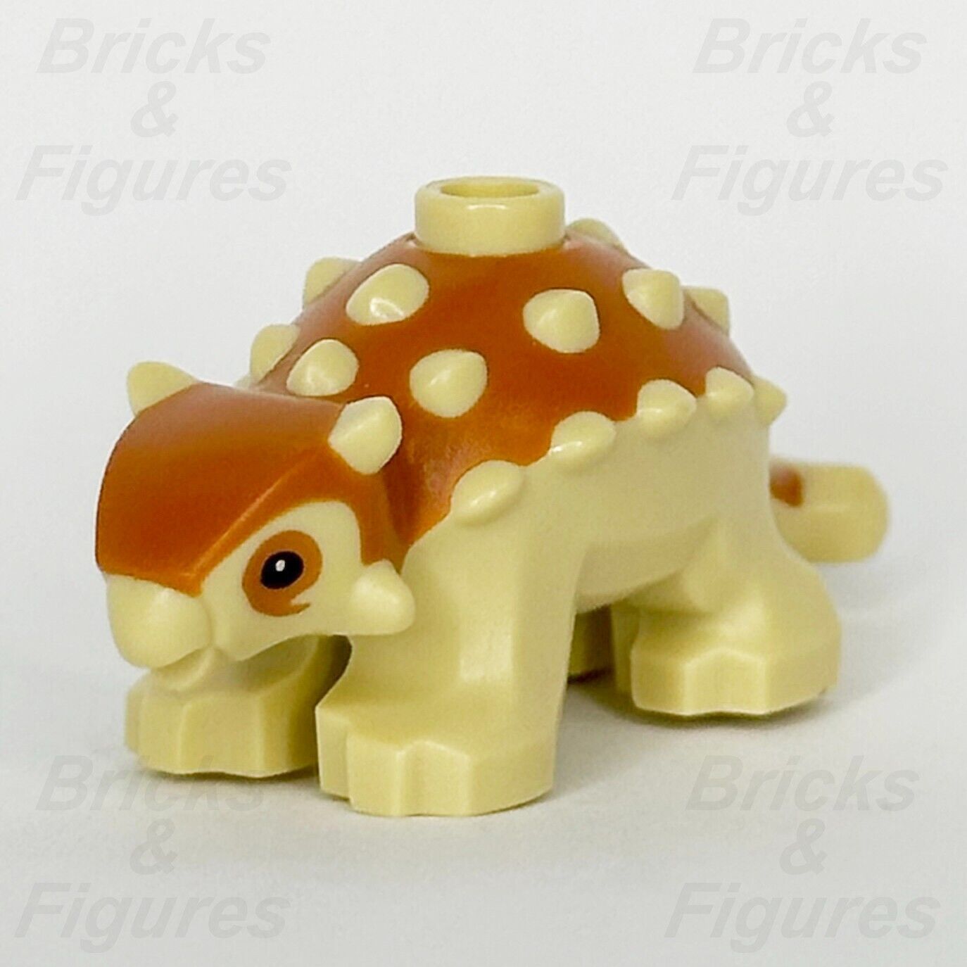 LEGO Jurassic World Baby Ankylosaurus Dinosaur Minifigure Part 76963 67443pb03 - Bricks & Figures