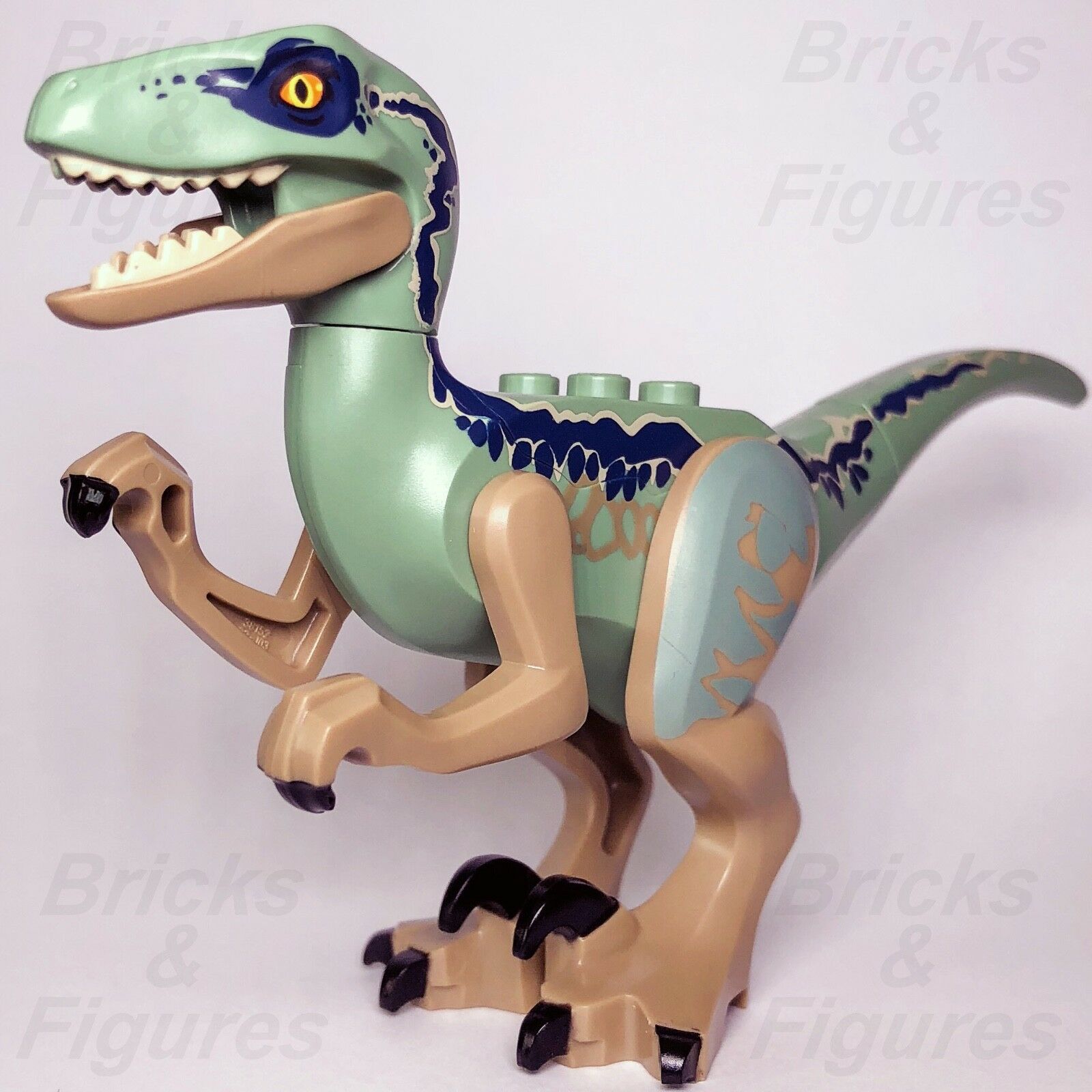 JURASSIC WORLD lego RAPTOR BLUE dinosaur DINO fallen kingdom GENUINE 75928 75930 - Bricks & Figures