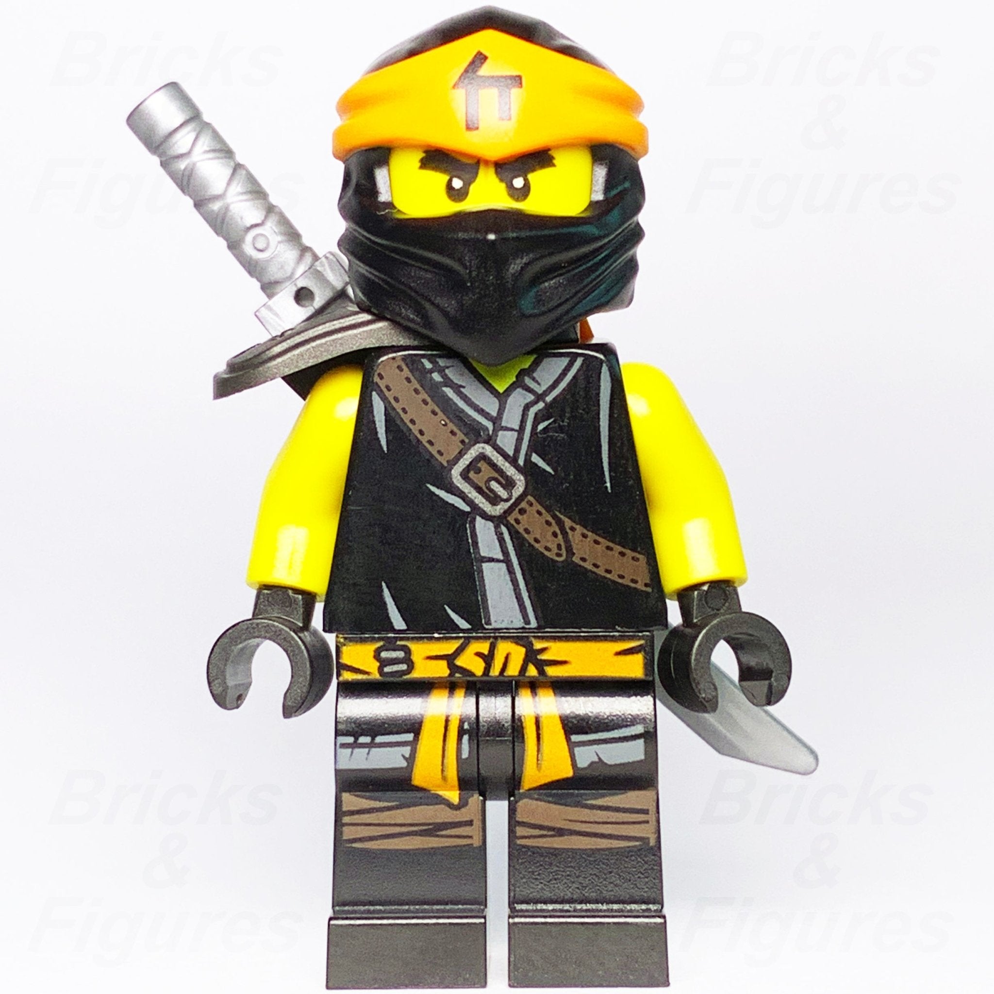 Ninjago cole best sale season 11